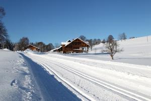 una carretera cubierta de nieve frente a una cabaña de madera en Biobauernhof Brandlhof, en Ramsau am Dachstein