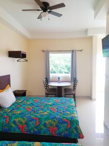 Gallery image of Agua Clara Eco Suites in Oranjestad