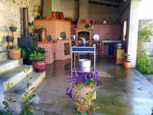 a room with a kitchen with a table and some plants at Casa Aurora in Penacova