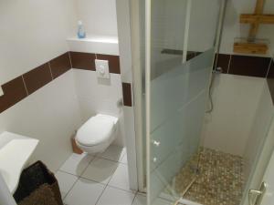 een kleine badkamer met een toilet en een douche bij Gîte de la Cuve in Huisnes-sur-Mer