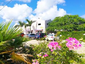 Gallery image of Agua Clara Eco Suites in Oranjestad
