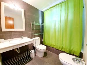 シエラネバダにあるSerraneu ERB Alojamientosのバスルーム(トイレ、緑のシャワーカーテン付)