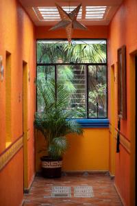 Κήπος έξω από το Planet Hostel