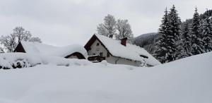 a house covered in snow with trees in the background at Ferienhaus Pöttler in Untertauern