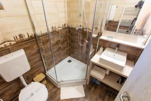 La salle de bains est pourvue d'une douche, de toilettes et d'un lavabo. dans l'établissement Apartamente Primaverii 2, à Buşteni