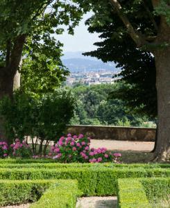 セスト・フィオレンティーノにあるDimora La Petraiaのピンクの花が咲き誇る公園