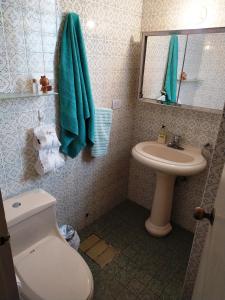 y baño con aseo y lavamanos. en Susana´s Private Room with Breakfast - Miraflores, en Lima