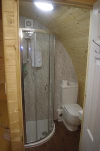 Ett badrum på Strathyre Camping Pods