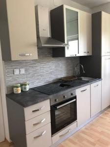 Kuchyňa alebo kuchynka v ubytovaní Family friendly holiday home "Ana"