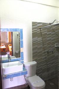 a bathroom with a toilet and a sink and a mirror at Hotel Arrecife Huatulco Plus in Santa Cruz Huatulco