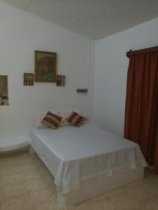 1 dormitorio con 1 cama blanca en una habitación en Rêve des Îles Guesthouse, en Rodrigues Island