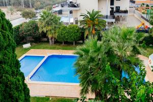 einen Blick über einen Pool mit Palmen in der Unterkunft Apartamento Boliche in Benimagrell