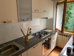 a kitchen with a stove and a sink at Snow peak in Ponte di Legno