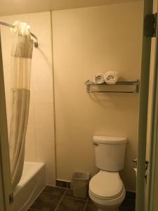 a bathroom with a toilet and a shower and a tub at Ramada by Wyndham Ontario in Ontario