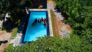 Bazén v ubytování Thammenna Eco Cabins nebo v jeho okolí