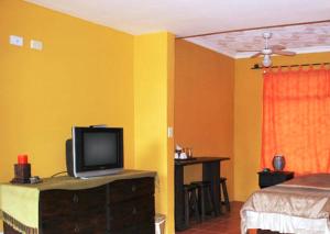um quarto com uma cama e uma televisão numa cómoda em Melrost Airport Bed & Breakfast em Alajuela
