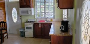 a small kitchen with a stove and a sink at Unit 4 Private Apartment - Roseau in Roseau