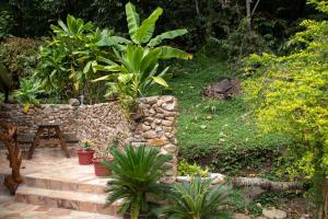 un jardin avec un mur en pierre et quelques plantes dans l'établissement Haere Mai I Te Fare, à Teavaro