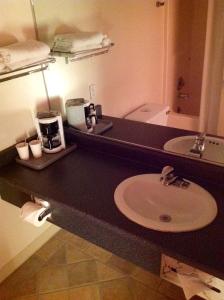 a bathroom with a sink and a counter top with a sink at Humboldt Redwoods Inn in Garberville