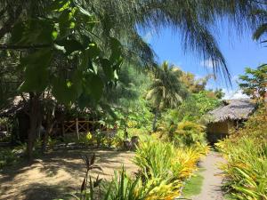 a path through a garden with a palm tree at Friendly Beach in Tanna Island