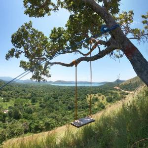 a swing hanging from a tree on a hill at Mount Avangan Eco Adventure Park in Coron