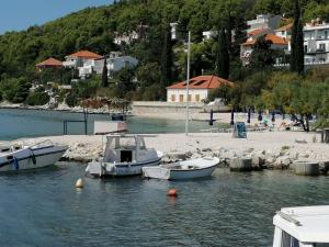 two boats are docked in the water near a beach at Apartman Gilan in Seget Vranjica