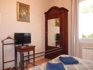 a bedroom with a bed and a mirror and a television at L'arum antique in Sainte-Catherine-de-Fierbois