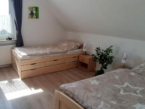a bedroom with two beds and a plant in it at Ferienwohnung Ruhrort in Brilon