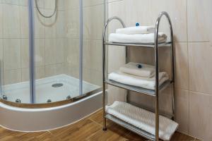 a towel rack in a bathroom with a shower at AirPark Balice in Balice