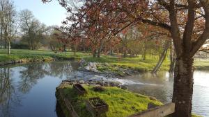 une rivière dans un parc à côté d'un arbre dans l'établissement Moulin De Bacchus - Châteaux de la Loire, à Chançay