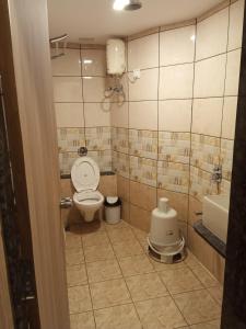 a bathroom with a toilet and a sink at Hotel rr palace in Ahmedabad