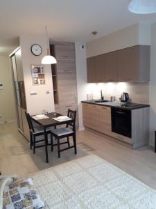 Kuchyň nebo kuchyňský kout v ubytování Vena apartment