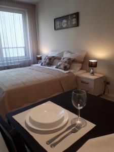 Postel nebo postele na pokoji v ubytování Vena apartment