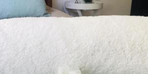 a close up of a white blanket on a bed at Anchor Guesthouse in Secunda