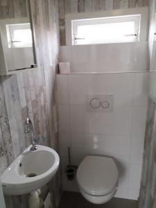 a bathroom with a white toilet and a sink at Joy in Egmond-Binnen