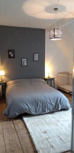 a bedroom with a bed with a white bedspread at La Maison d'Aure in Arreau