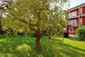 a tree in the grass in front of a building at Johannesbad Hotel Füssinger Hof in Bad Füssing