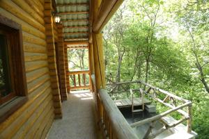 Zahrada ubytování Alva Hotel & Spa