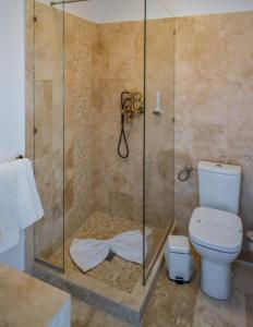 a bathroom with a shower and a toilet at Hotel Coquette in Măneciu