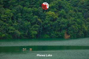 a red and white kite flying over a lake at Hotel Sublime in Pokhara +10 photos
