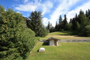 a building in the middle of a field with trees at Apartment International in Crans-Montana