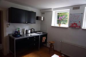 Kjøkken eller kjøkkenkrok på Ferienwohnung Lichterfelde Apartment