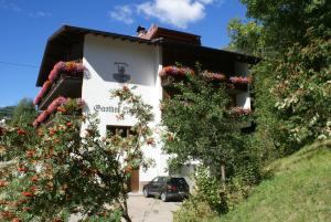 Zahrada ubytování Gasthof Hirschen