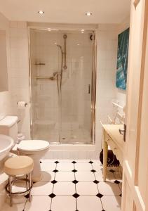 a bathroom with a shower and a toilet and a sink at Hudsons in Brighton & Hove