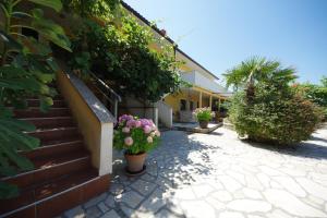 Zahrada ubytování Apartman Marija