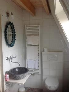 a bathroom with a sink and a toilet at Sonop in Oostkapelle
