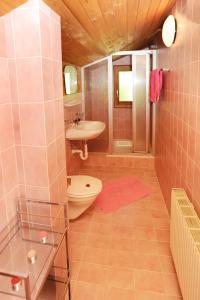 a bathroom with a toilet and a sink and a shower at Haus Ender in Sankt Gallenkirch