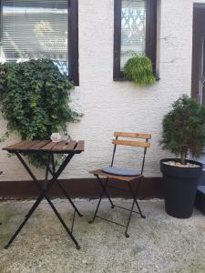 Vonkajšia záhrada v ubytovaní Chic apartment
