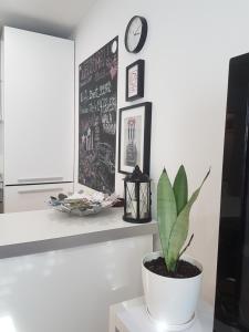 Fotografie z fotogalerie ubytování Chic apartment v Záhřebu