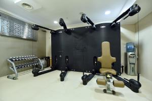 Фітнес-центр і / або тренажери в Hotel Ziya